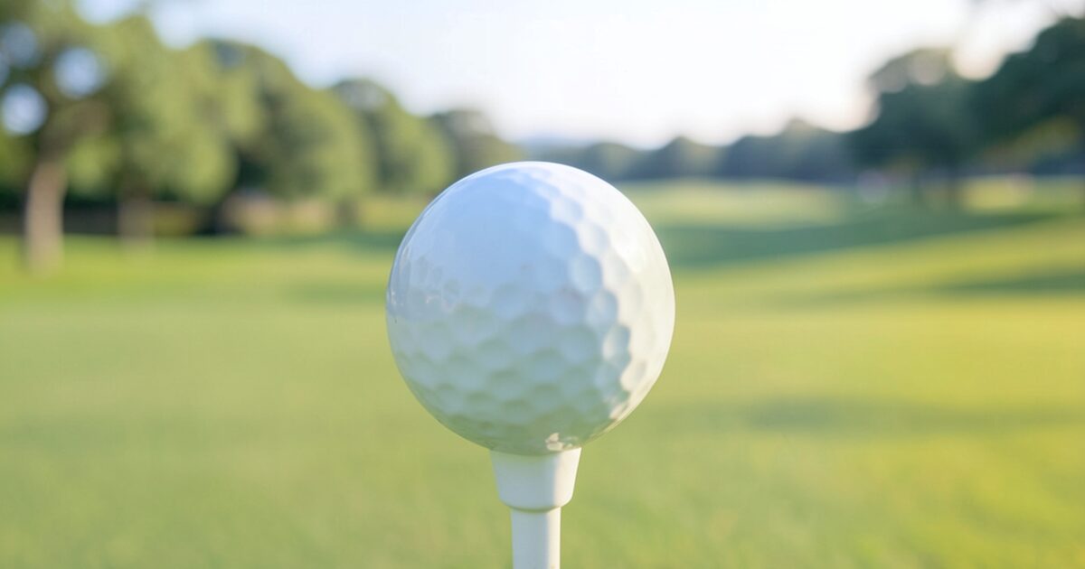 PGM Webの料金を解説｜ポイント・ステイタス・1人予約の比較ポイントのイメージ画像 2